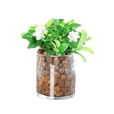 Lichte bruine ballen Tuin uitgebreide Ceramsite Tuinbouw LECA klei pellets 50L zak