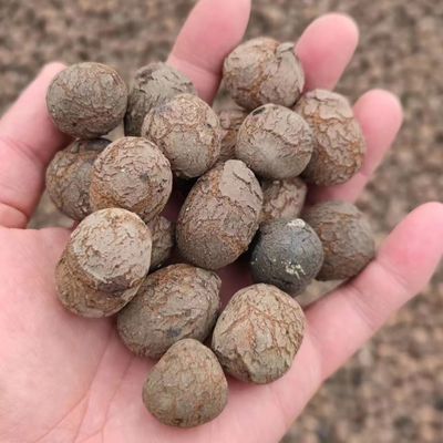 LECA voor tuinbouw en tuinbouw Bulk density 250-450kg/m3 Hydroponics LECA ballen