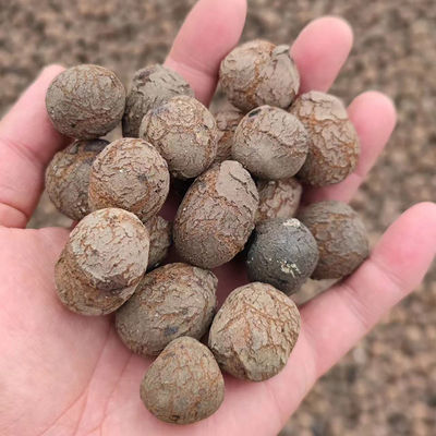 8-16mm LECA Ballen Klei ballen voor hydroponics 10-30mm LECA voor bouwen China Leverancier